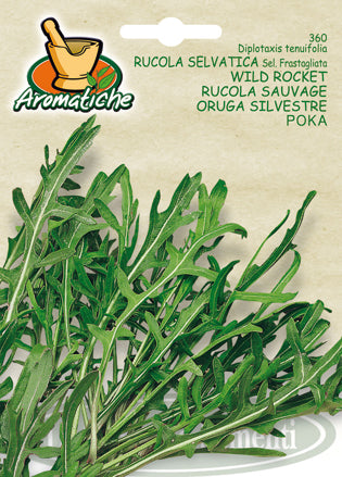 Rucula Salerno Seeds Wild Selvatica 360 Arugula | NON-GMO Rocket -
